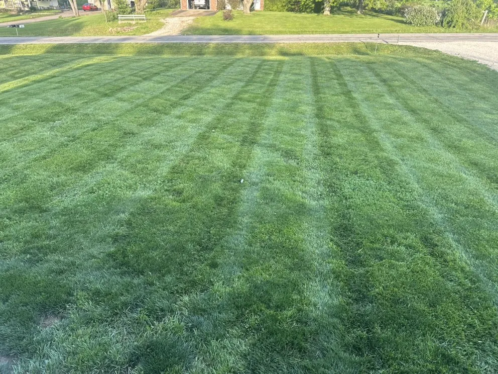 Top-rated landscaping services for beautiful yards in Jefferson City, MO by Rice Lawn N More