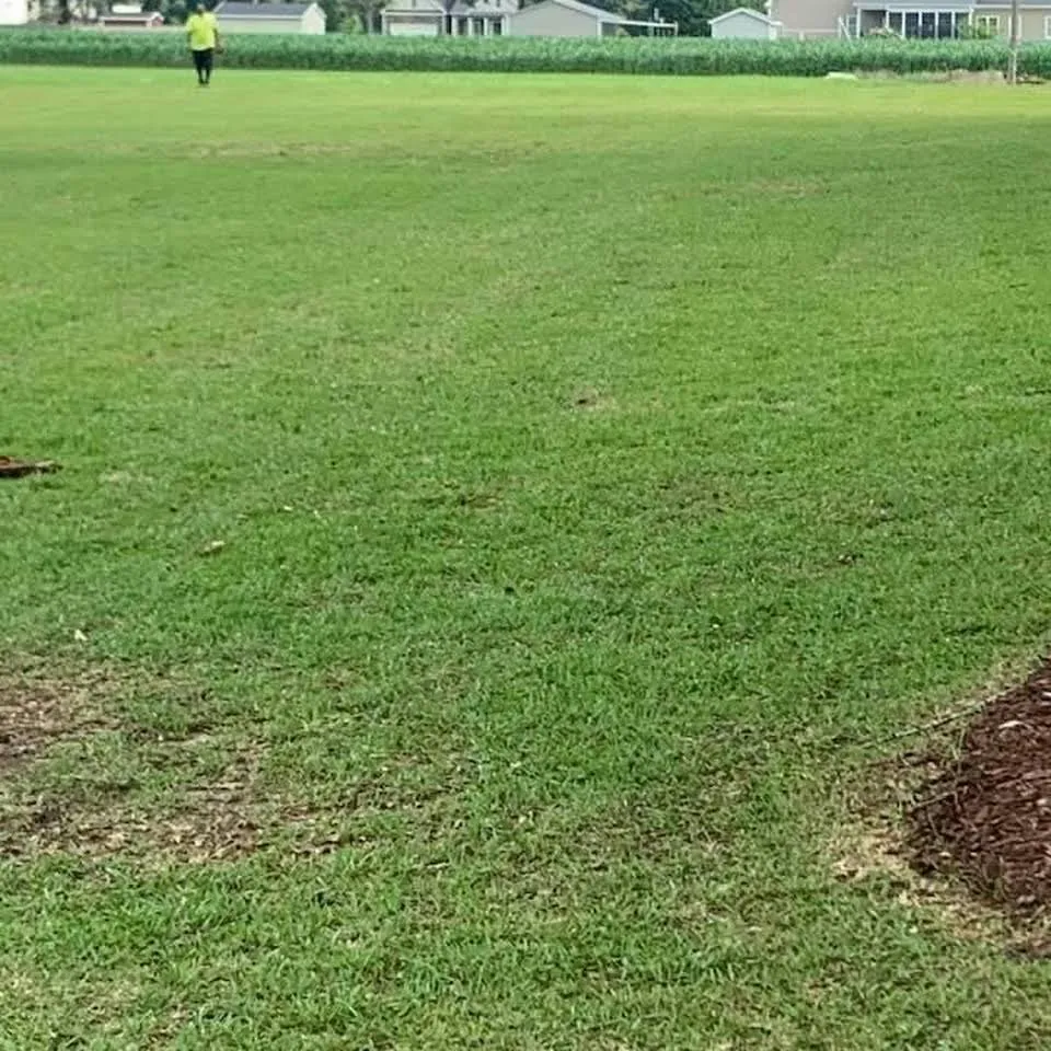 Trusted yard cleanup service for homes in Ayden, NC by Rice Lawn Services