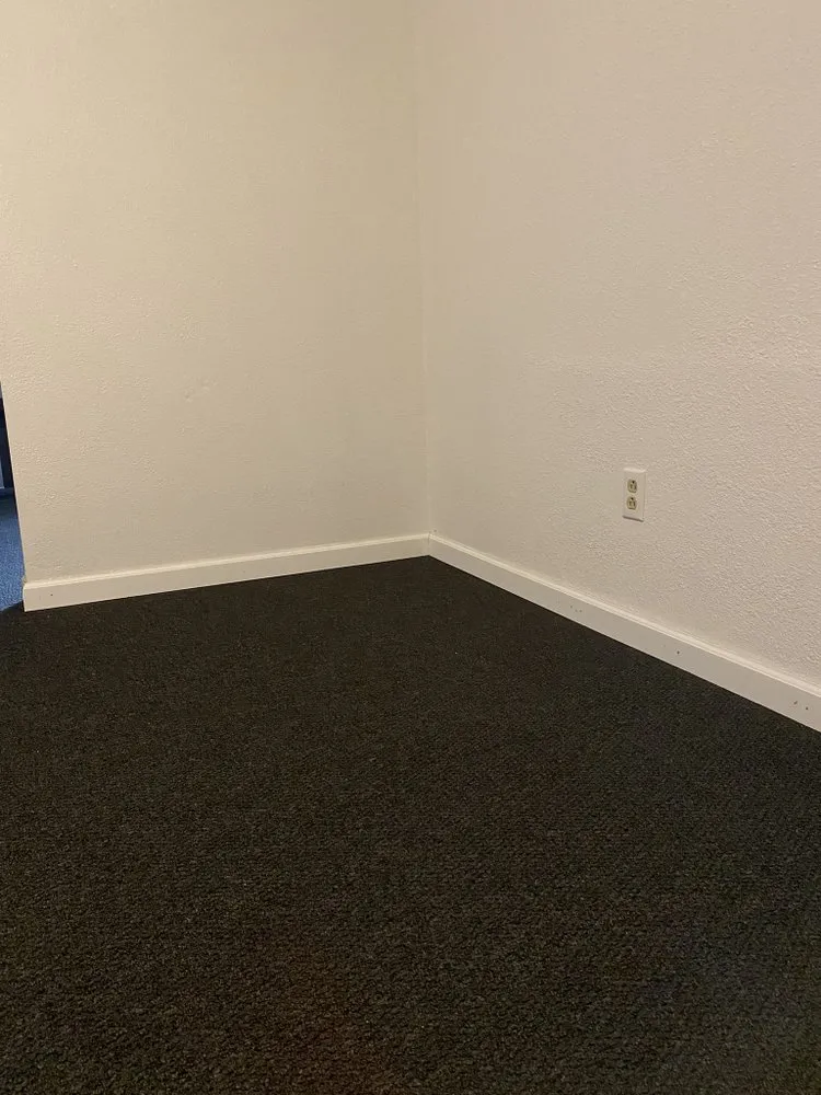 Professional yard maintenance for year-round maintenance across Indianapolis, IN - Rice Property Management