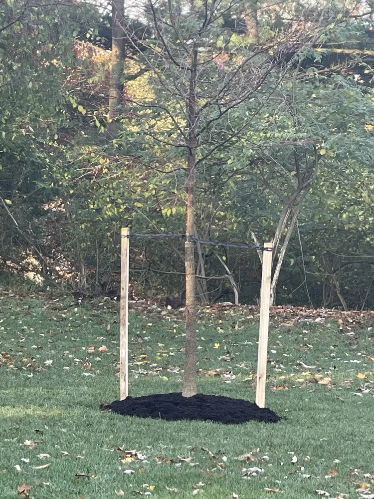 Local landscape installation in Canton, OH - Rice's