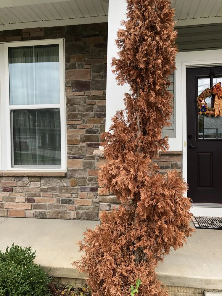 Trusted outdoor landscaping for residential properties in Canton, OH by Rice's