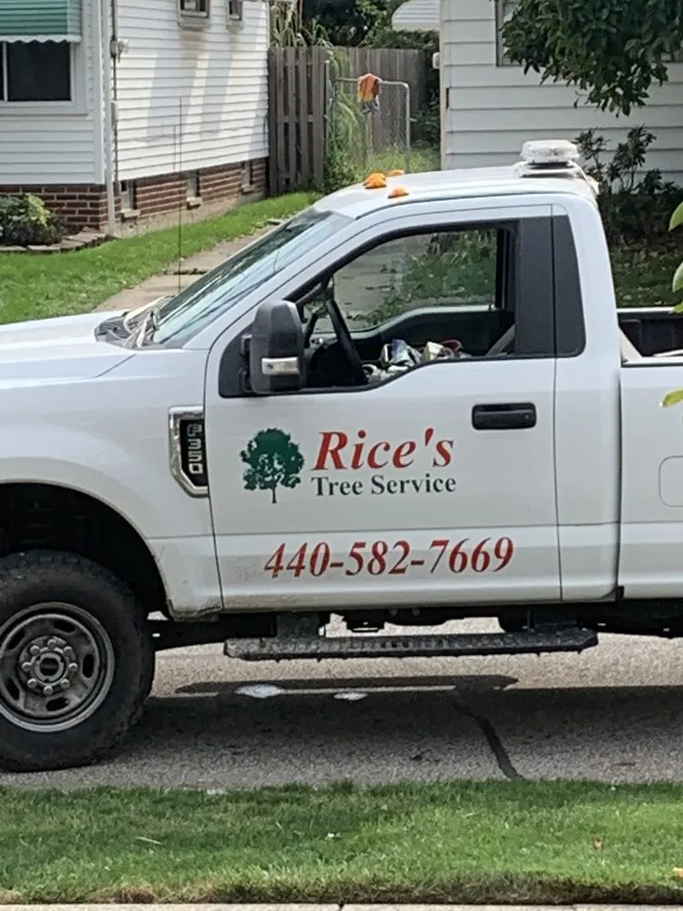 Affordable outdoor landscaping experts serving North Royalton, OH - Rice's Tree Service & Landscaping