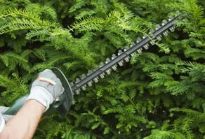 Custom yard cleanup service for beautiful yards across North Royalton, OH - Rice's Tree Service & Landscaping