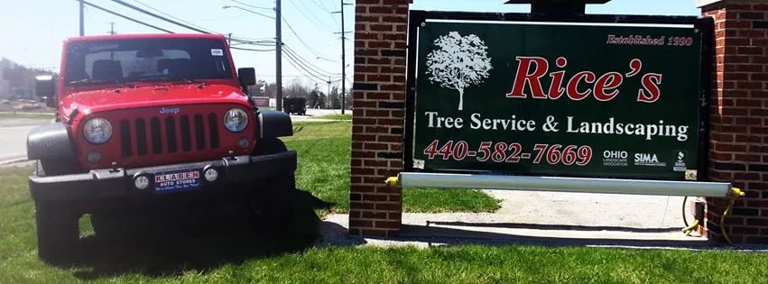 Top-rated yard cleanup service experts serving North Royalton, OH - Rice's Tree Service & Landscaping