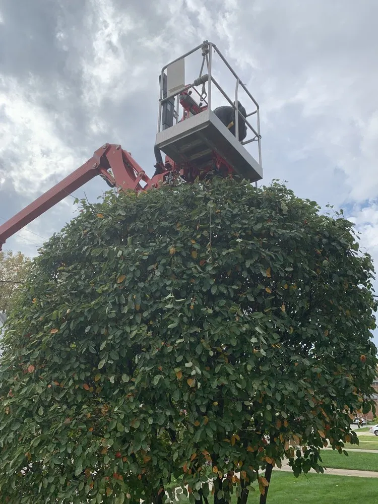 Custom garden landscaping in North Royalton, OH by Rice's Tree Service & Landscaping