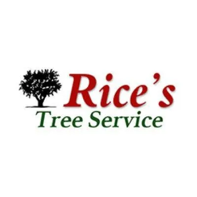 Top-rated yard cleanup service in North Royalton, OH by Rice's Tree Service & Landscaping