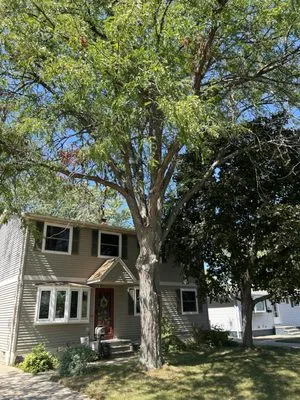 Rice's Tree Service & Landscaping