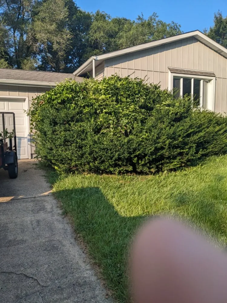 Top-rated yard maintenance experts serving Newark, DE - Rich Be Services