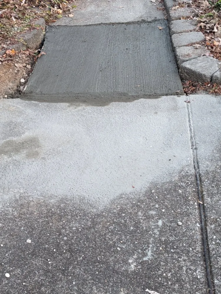 Affordable yard cleanup service for beautiful yards in Newark, DE by Rich Be Services