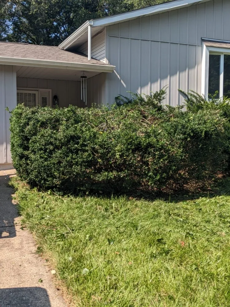 Reliable garden landscaping for residential properties across Newark, DE - Rich Be Services