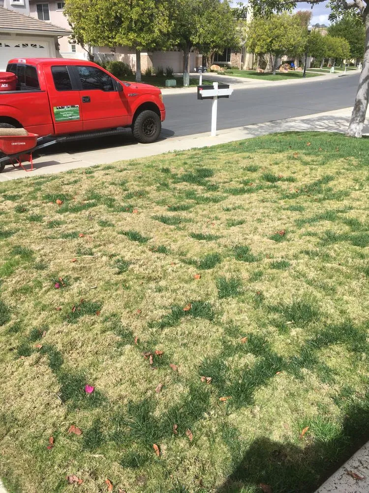 Reliable lawn mowing service for outdoor upgrades in Hemet, CA by Rich Berry Maintenance
