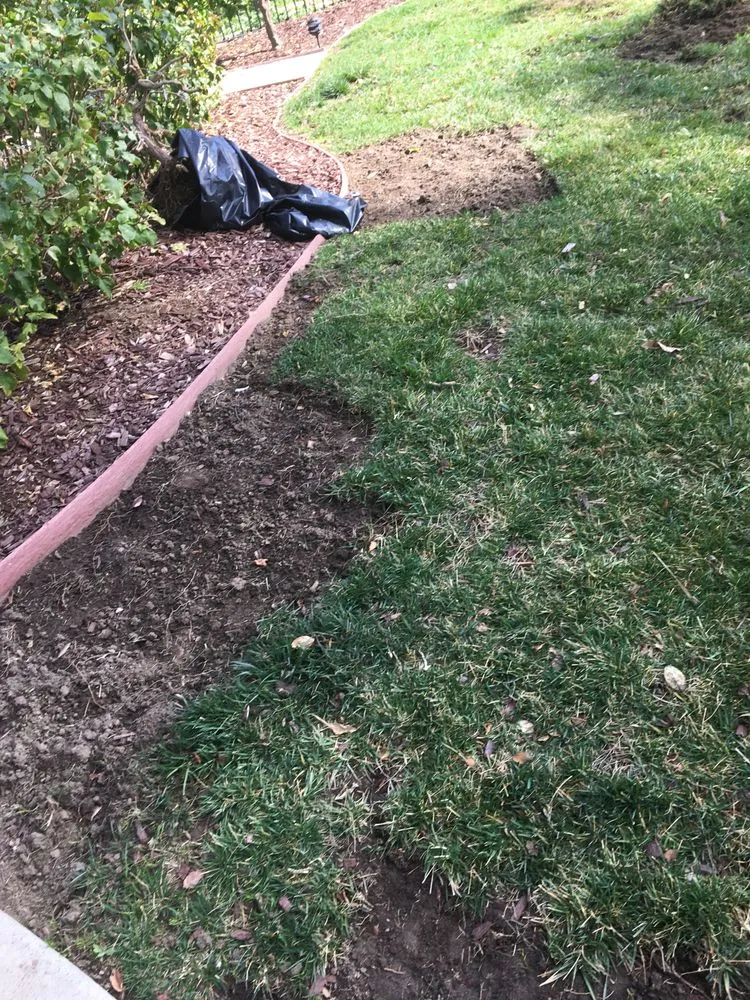 Affordable yard maintenance in Hemet, CA - Rich Berry Maintenance