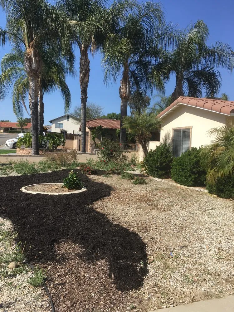 Affordable residential landscaping experts serving Hemet, CA - Rich Berry Maintenance