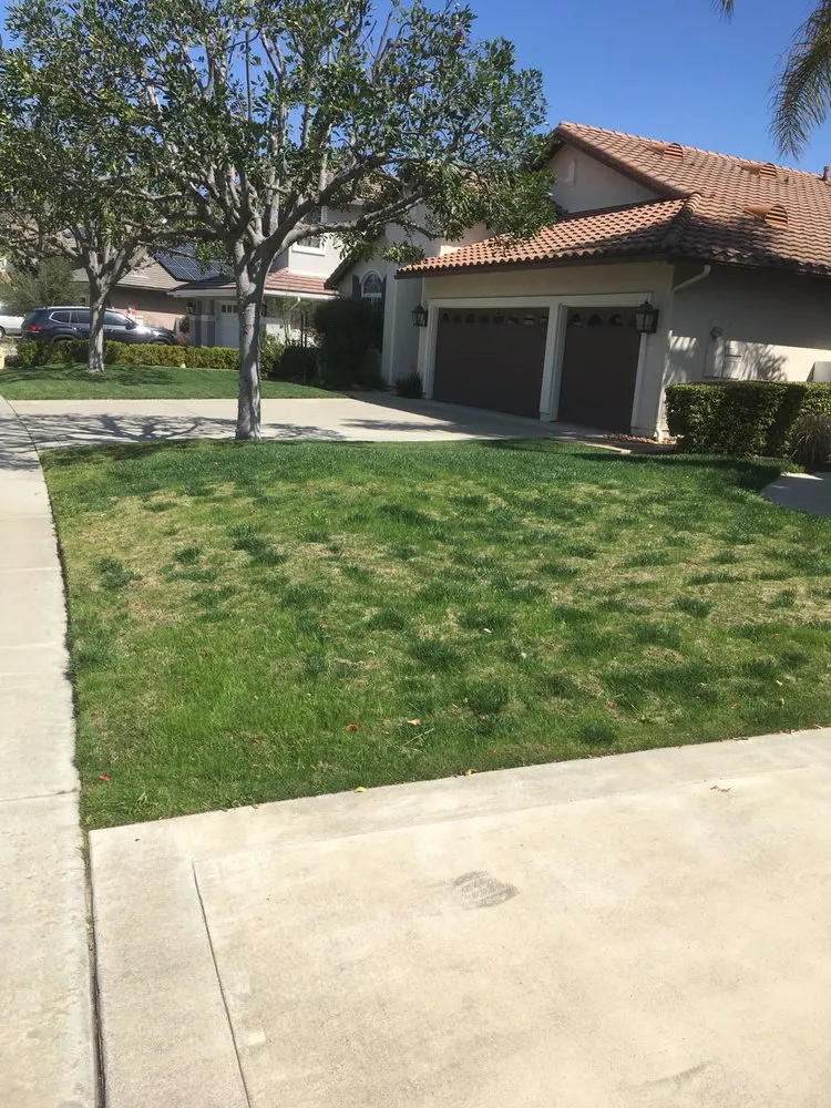 Local lawn mowing service for outdoor upgrades across Hemet, CA - Rich Berry Maintenance
