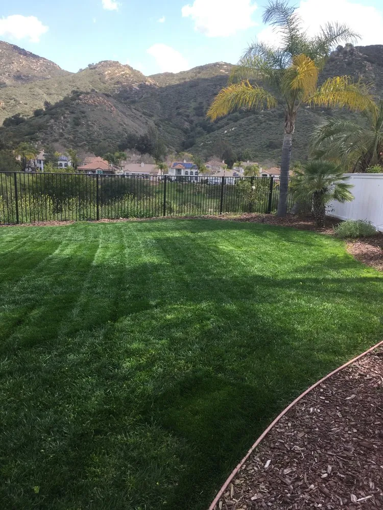 Professional yard maintenance near you in Hemet, CA by Rich Berry Maintenance