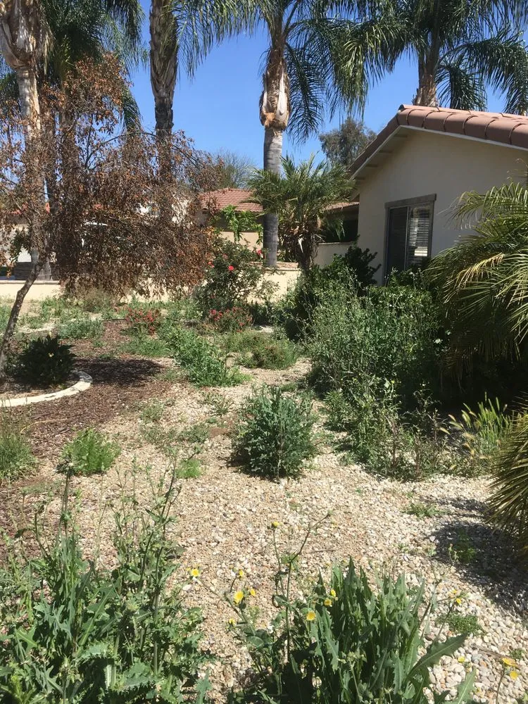 Top-rated garden landscaping in Hemet, CA by Rich Berry Maintenance