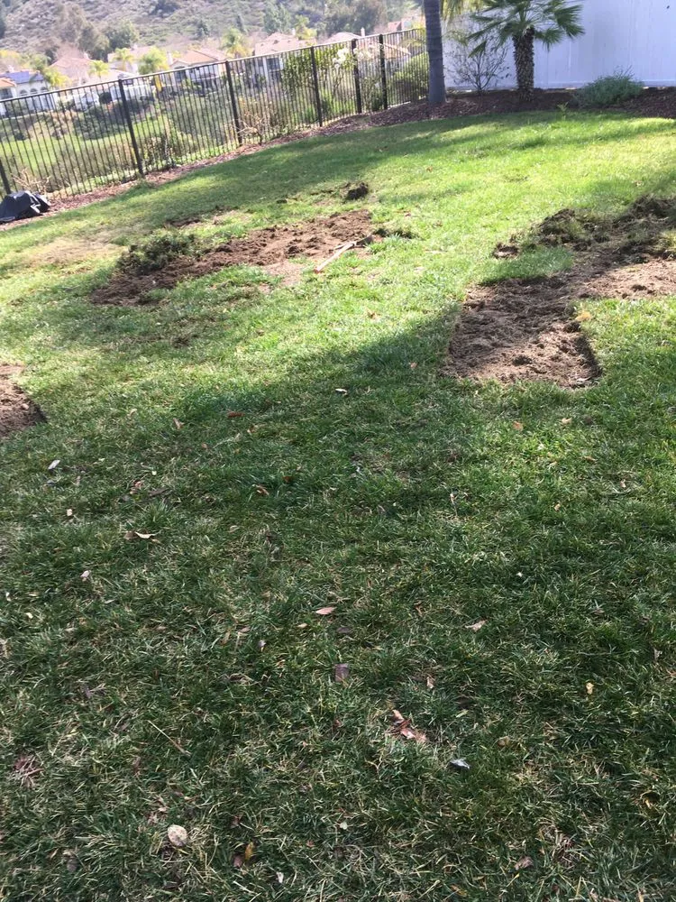 Custom yard maintenance in Hemet, CA by Rich Berry Maintenance