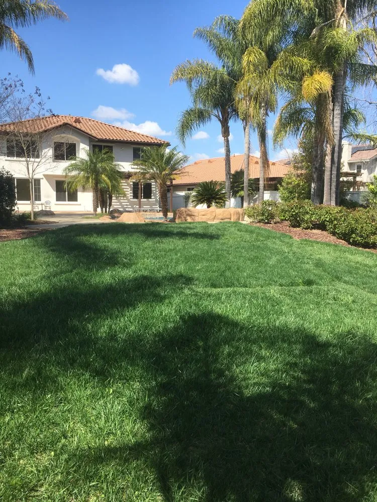 Professional yard maintenance experts serving Hemet, CA - Rich Berry Maintenance