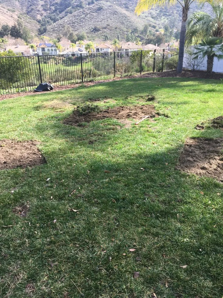 Top-rated garden landscaping in Hemet, CA - Rich Berry Maintenance