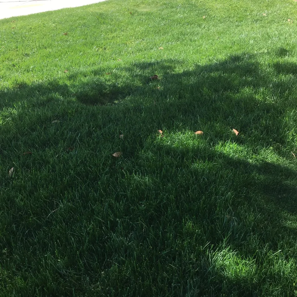 Affordable outdoor landscaping for residential properties in Hemet, CA by Rich Berry Maintenance