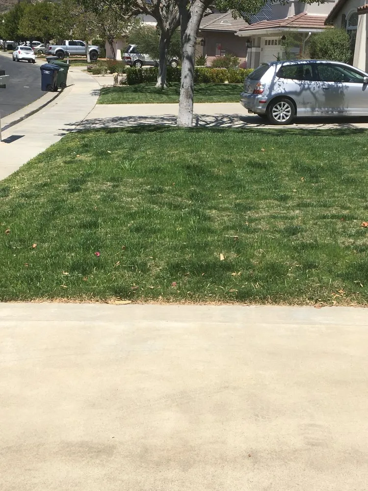 Top-rated landscape installation experts serving Hemet, CA - Rich Berry Maintenance