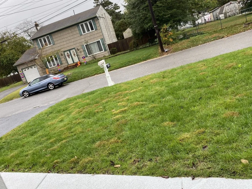 Reliable yard cleanup service experts serving Jackson Township, NJ - Rich Green Lawns