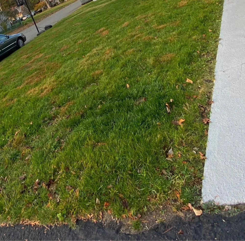 Trusted landscaping services in Jackson Township, NJ - Rich Green Lawns