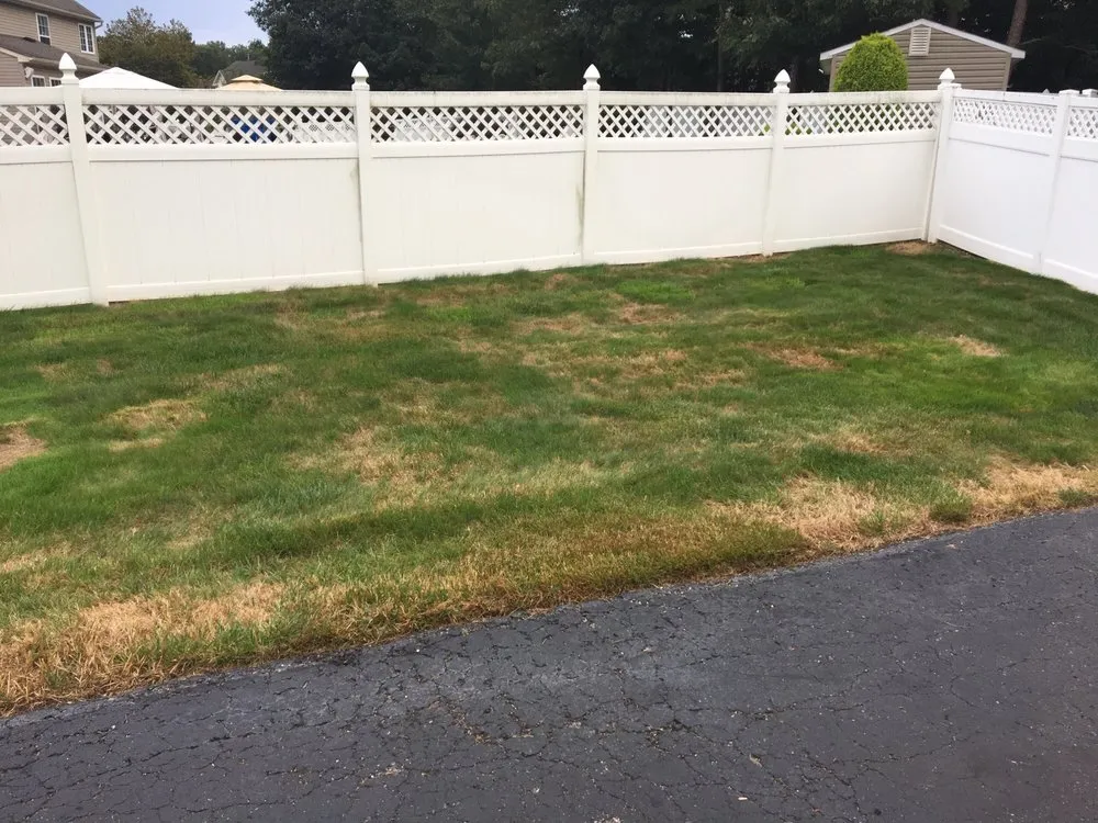 Top-rated yard maintenance in Jackson Township, NJ by Rich Green Lawns