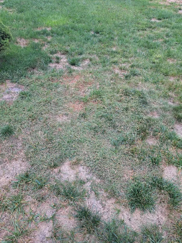 Custom landscape design in Jackson Township, NJ - Rich Green Lawns