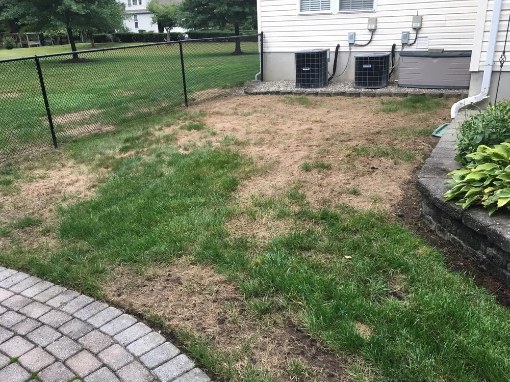 Professional landscape design experts serving Jackson Township, NJ - Rich Green Lawns