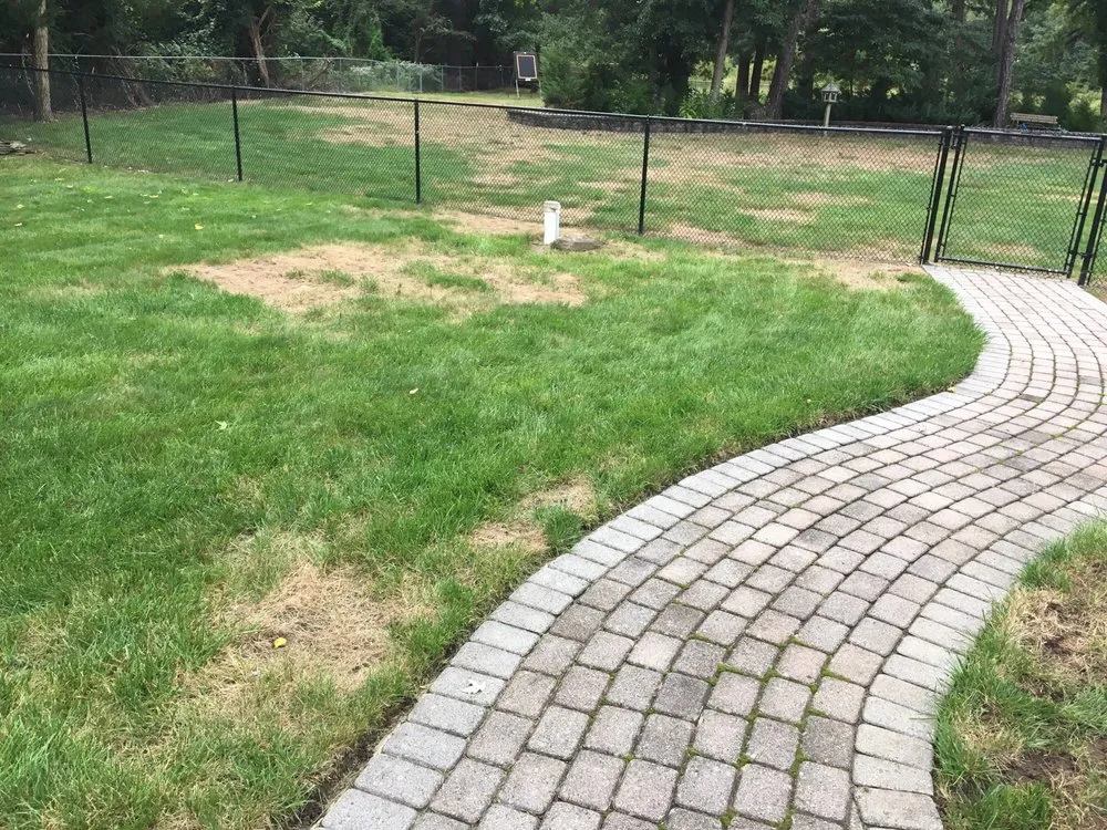 Affordable lawn mowing service with custom design across Jackson Township, NJ - Rich Green Lawns