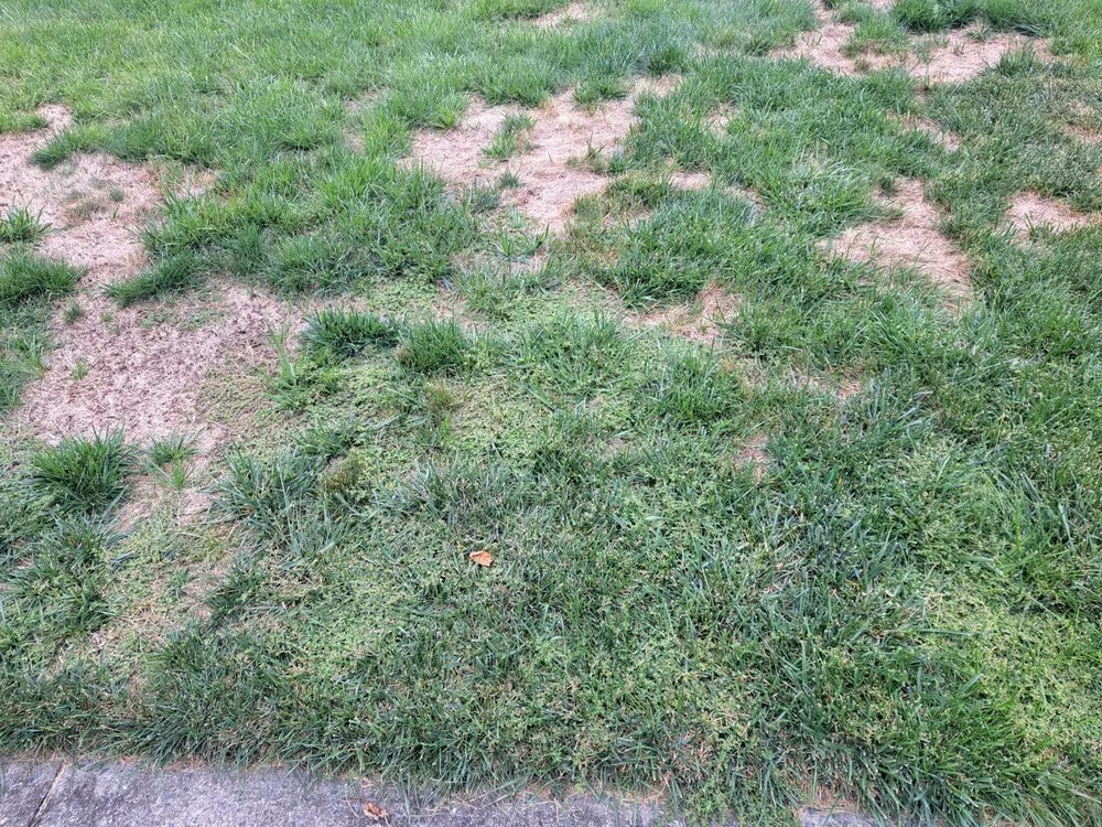 Expert lawn mowing service in Jackson Township, NJ - Rich Green Lawns
