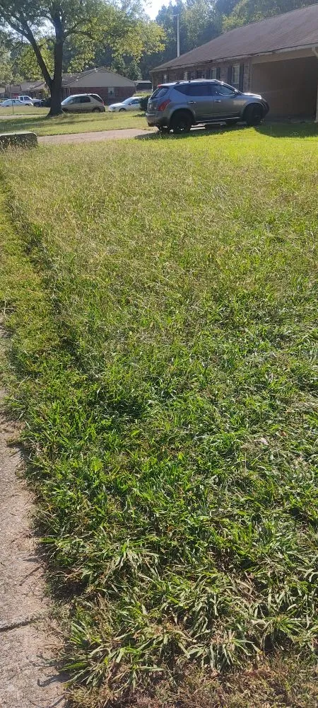 Trusted residential landscaping in Memphis, TN - Rich Landscaping & lawn care Service