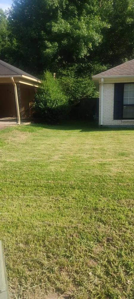 Trusted lawn mowing service for residential properties across Memphis, TN - Rich Landscaping & lawn care Service