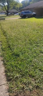 Rich Landscaping & lawn care Service Logo