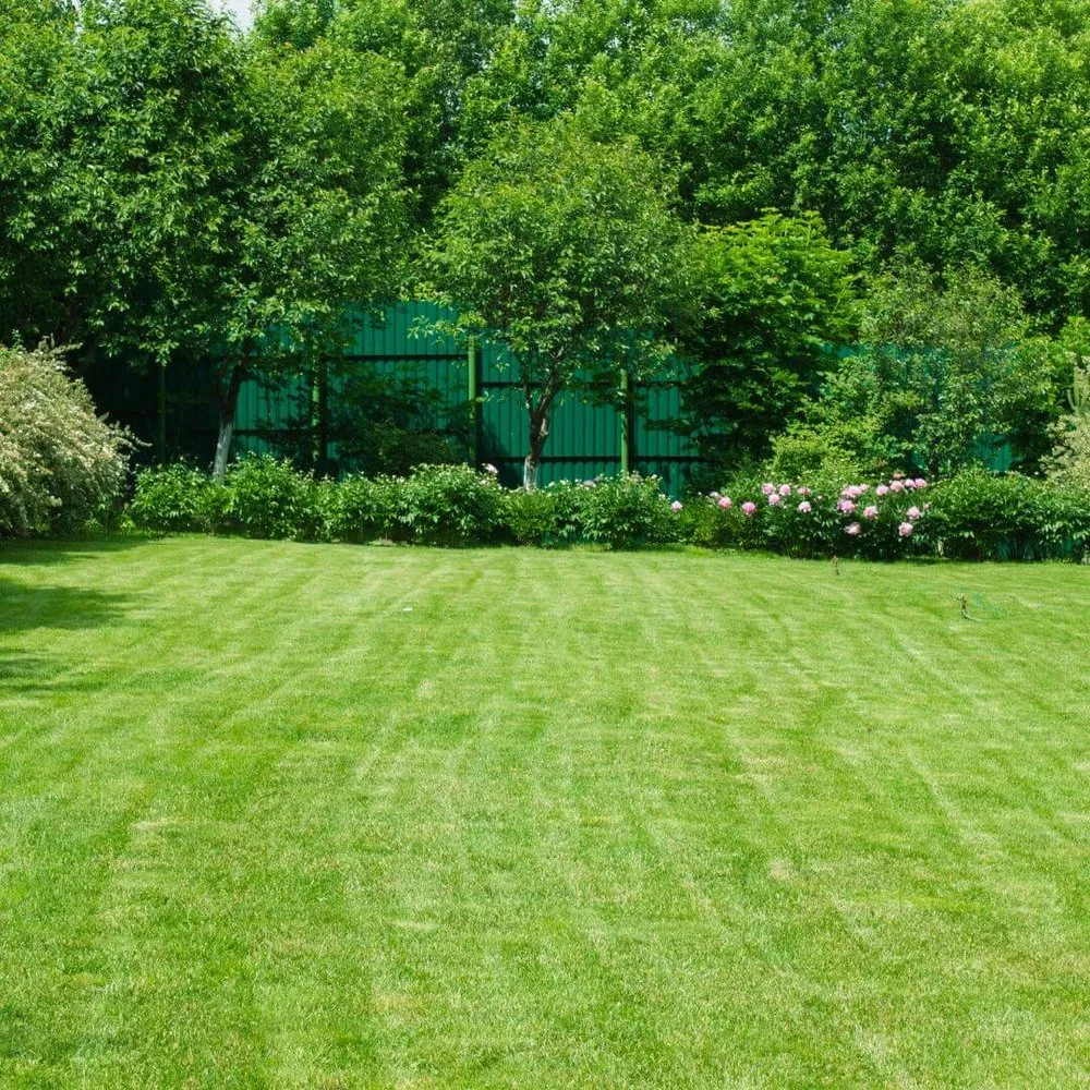Top-rated lawn care service for beautiful yards in Cudahy, WI by Rich Lawn Care