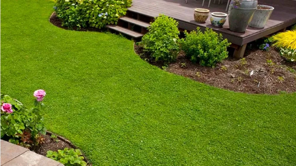 Top-rated landscaping services in Cudahy, WI by Rich Lawn Care