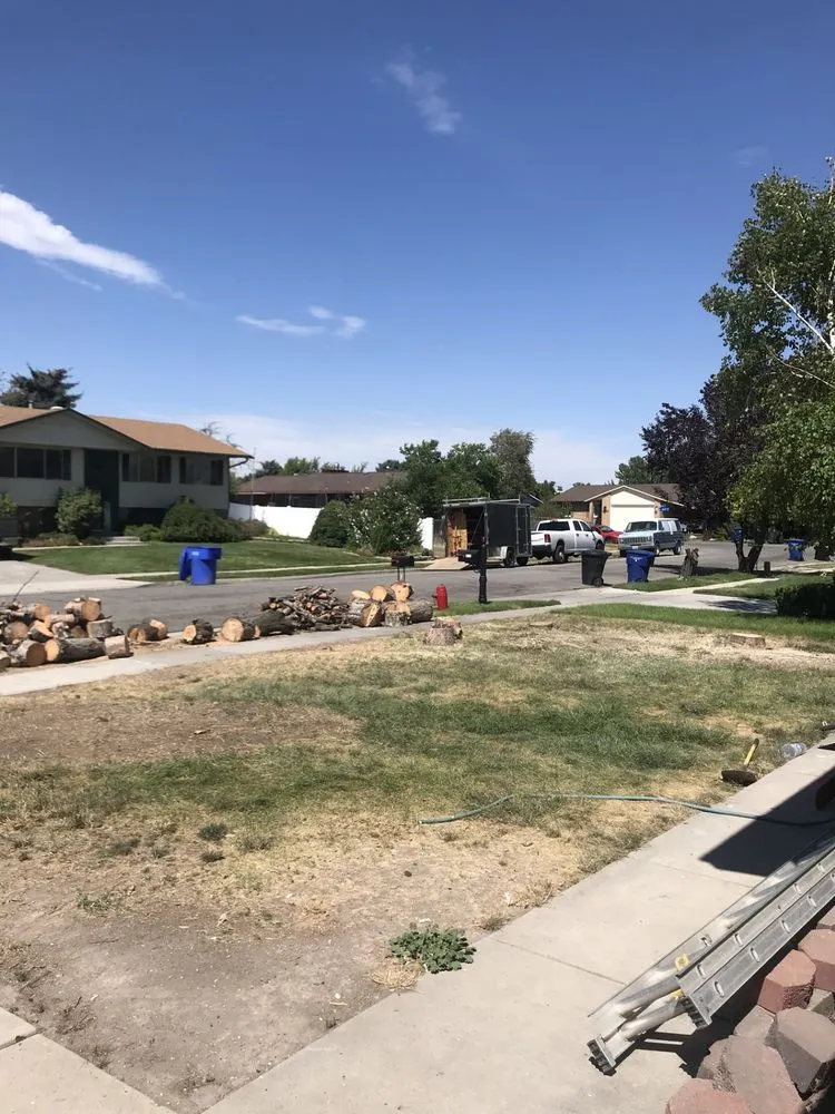 Expert landscape design in Taylorsville, UT by Rich Lawns