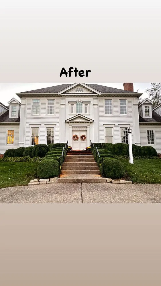 Expert yard maintenance in Lexington, KY by Rich Leaf Yard Cleaning and Landscaping