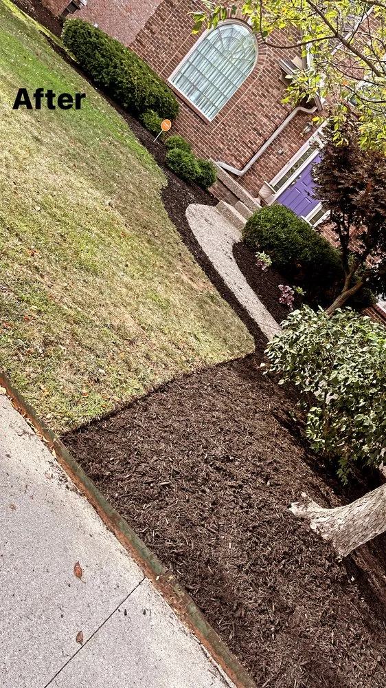 Professional landscape installation in Lexington, KY by Rich Leaf Yard Cleaning and Landscaping