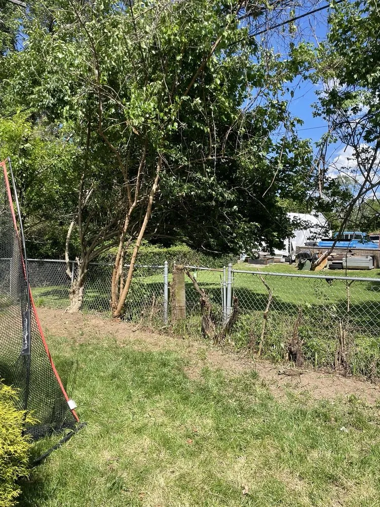 Affordable landscaping services in Lexington, KY by Rich Leaf Yard Cleaning and Landscaping