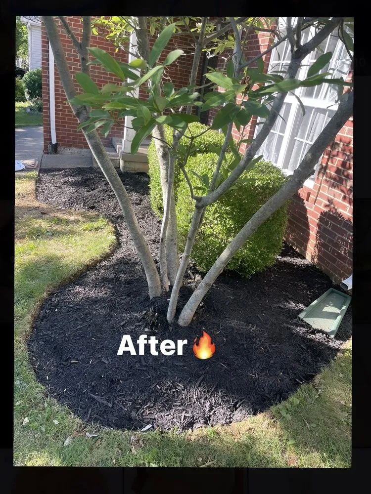 Custom garden landscaping in Lexington, KY - Rich Leaf Yard Cleaning and Landscaping