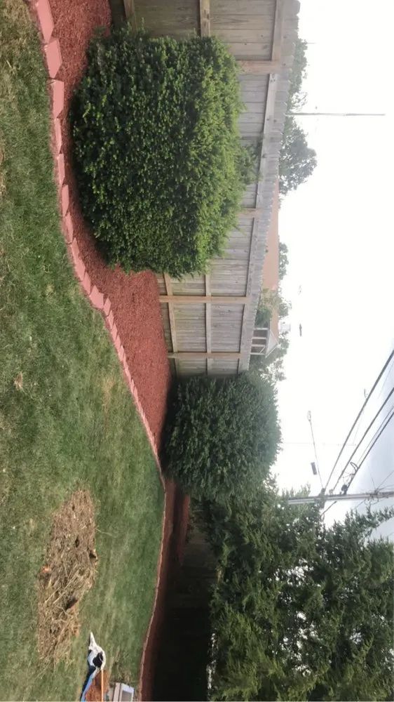 Top-rated landscaping services experts serving Lexington, KY - Rich Leaf Yard Cleaning and Landscaping