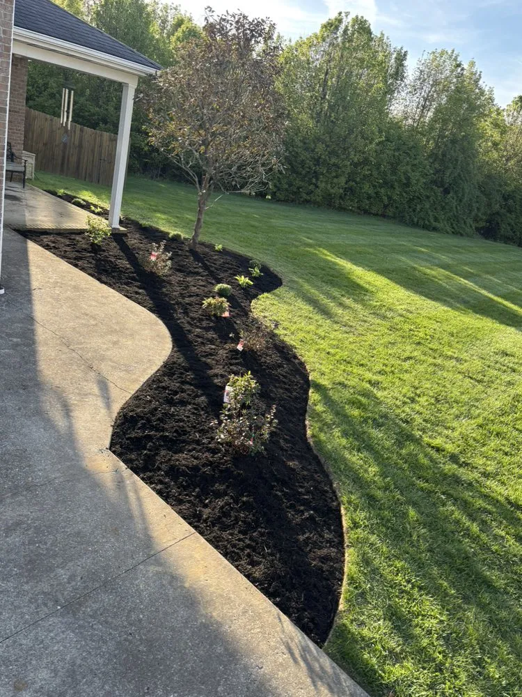 Expert yard cleanup service for homes in Lexington, KY by Rich Leaf Yard Cleaning and Landscaping