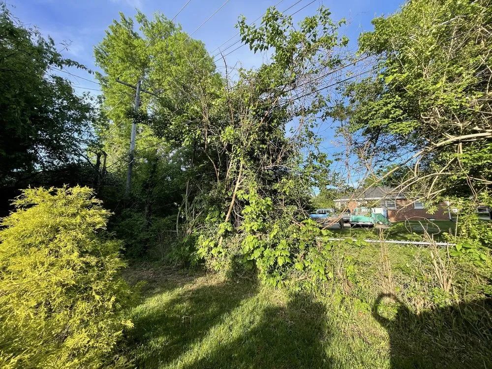 Local outdoor landscaping for beautiful yards across Lexington, KY - Rich Leaf Yard Cleaning and Landscaping