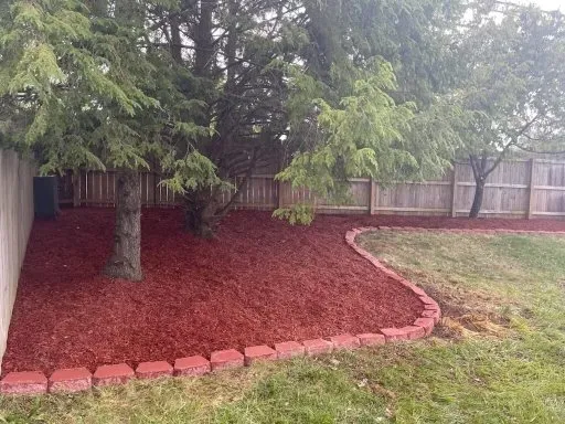 Top-rated yard cleanup service in Lexington, KY - Rich Leaf Yard Cleaning and Landscaping