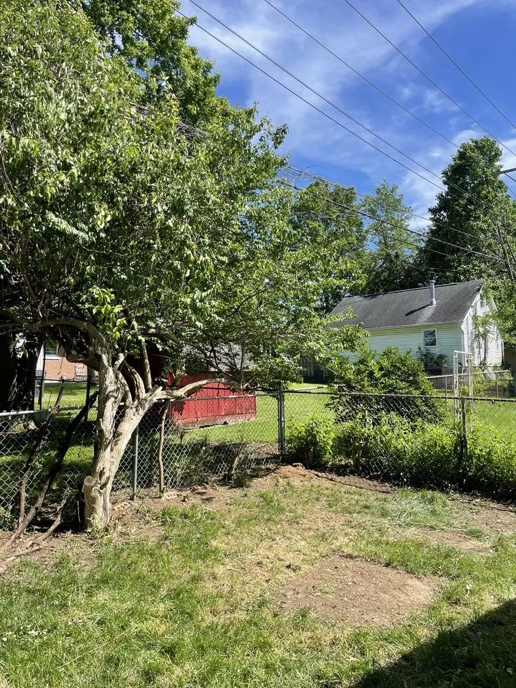 Top-rated yard maintenance in Lexington, KY - Rich Leaf Yard Cleaning and Landscaping