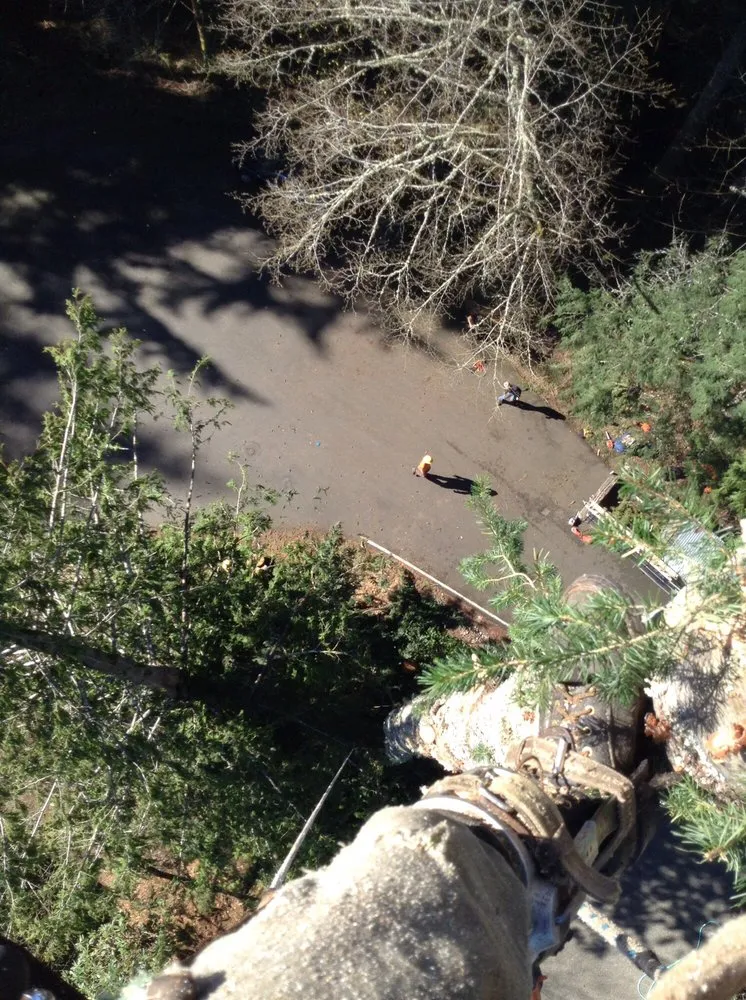 Trusted landscape design in Deming, WA - Rich Ternan Tree Service