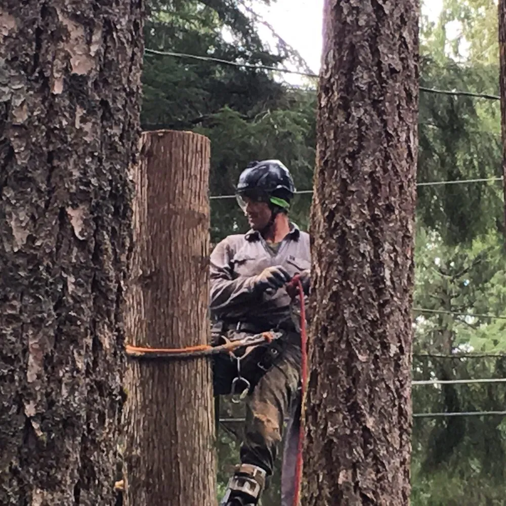 Trusted landscaping services with custom design across Deming, WA - Rich Ternan Tree Service