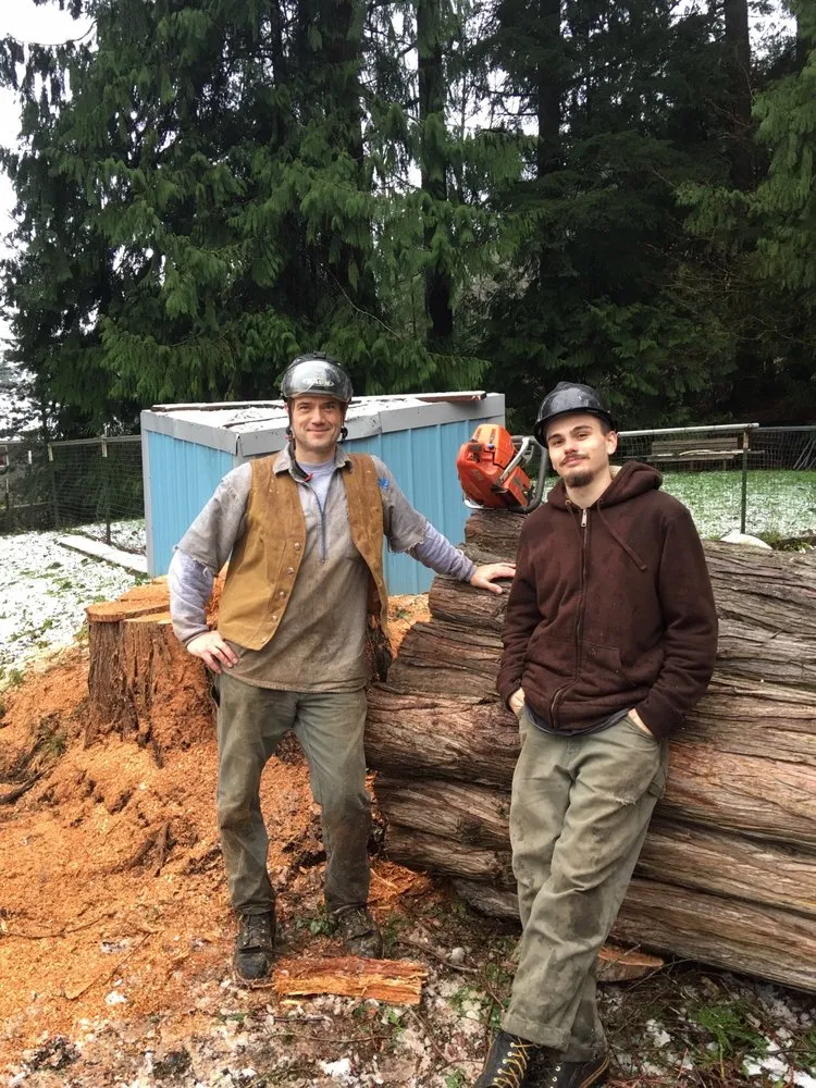 Affordable lawn mowing service in Deming, WA - Rich Ternan Tree Service